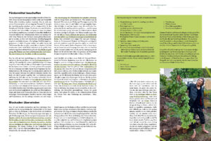 fg projektbuch 3117